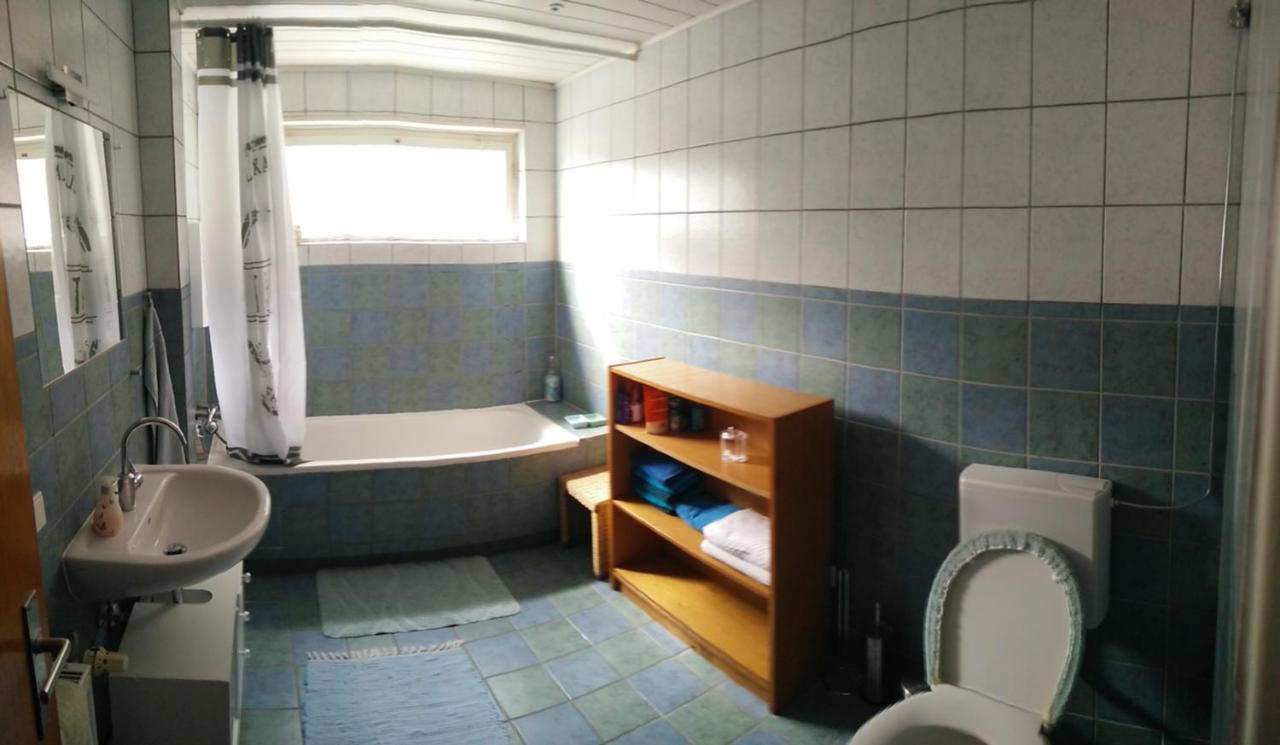 Pension Wiesental エクステリア 写真